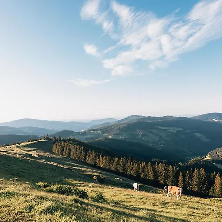 Naturhotel Bauernhofer 4* Heilbrunn
