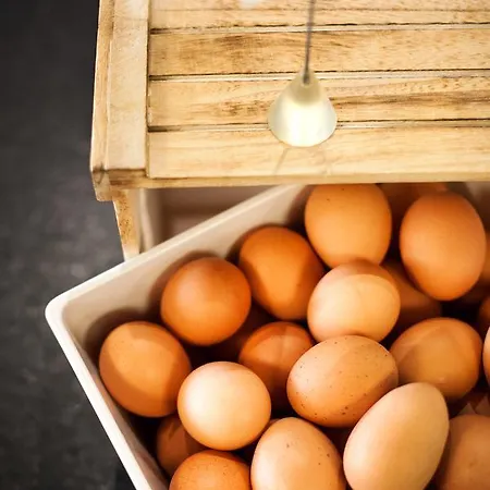 Naturhotel Bauernhofer 4*