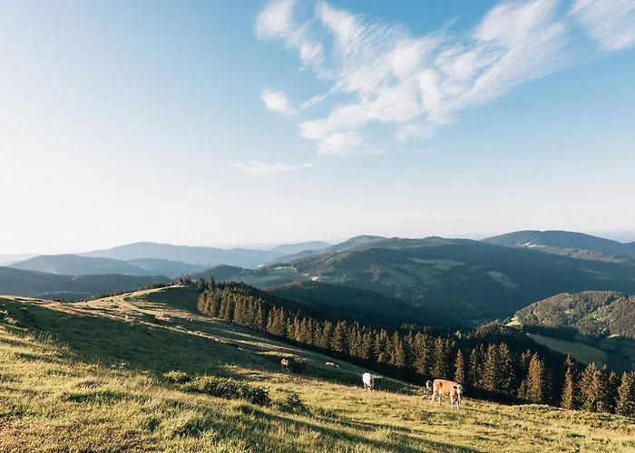 Naturhotel Bauernhofer 4* Heilbrunn