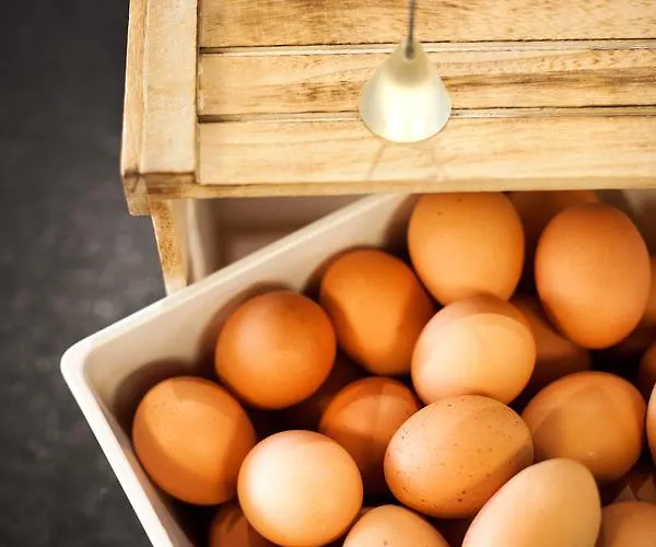 Naturhotel Bauernhofer 4*